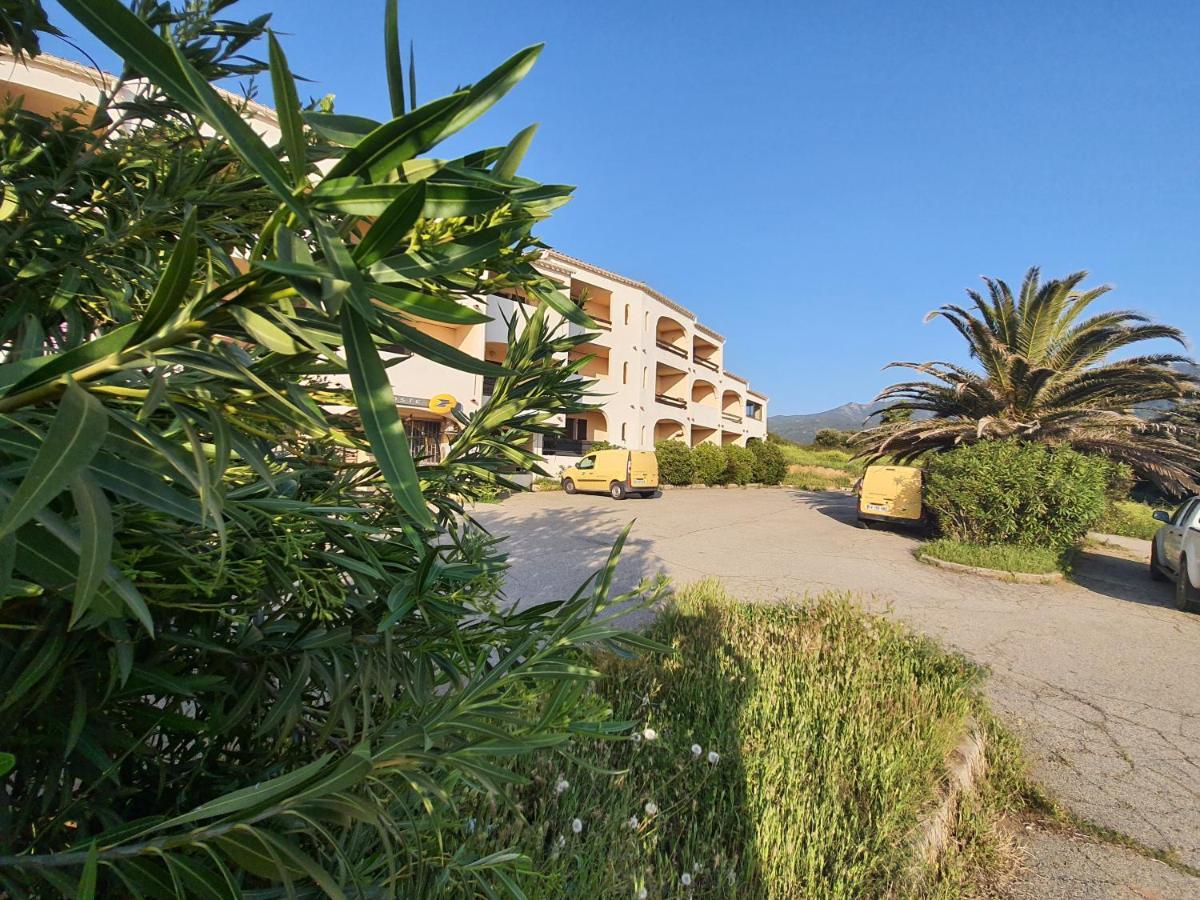 Apartment Liscia sea view Calcatoggio  Esterno foto