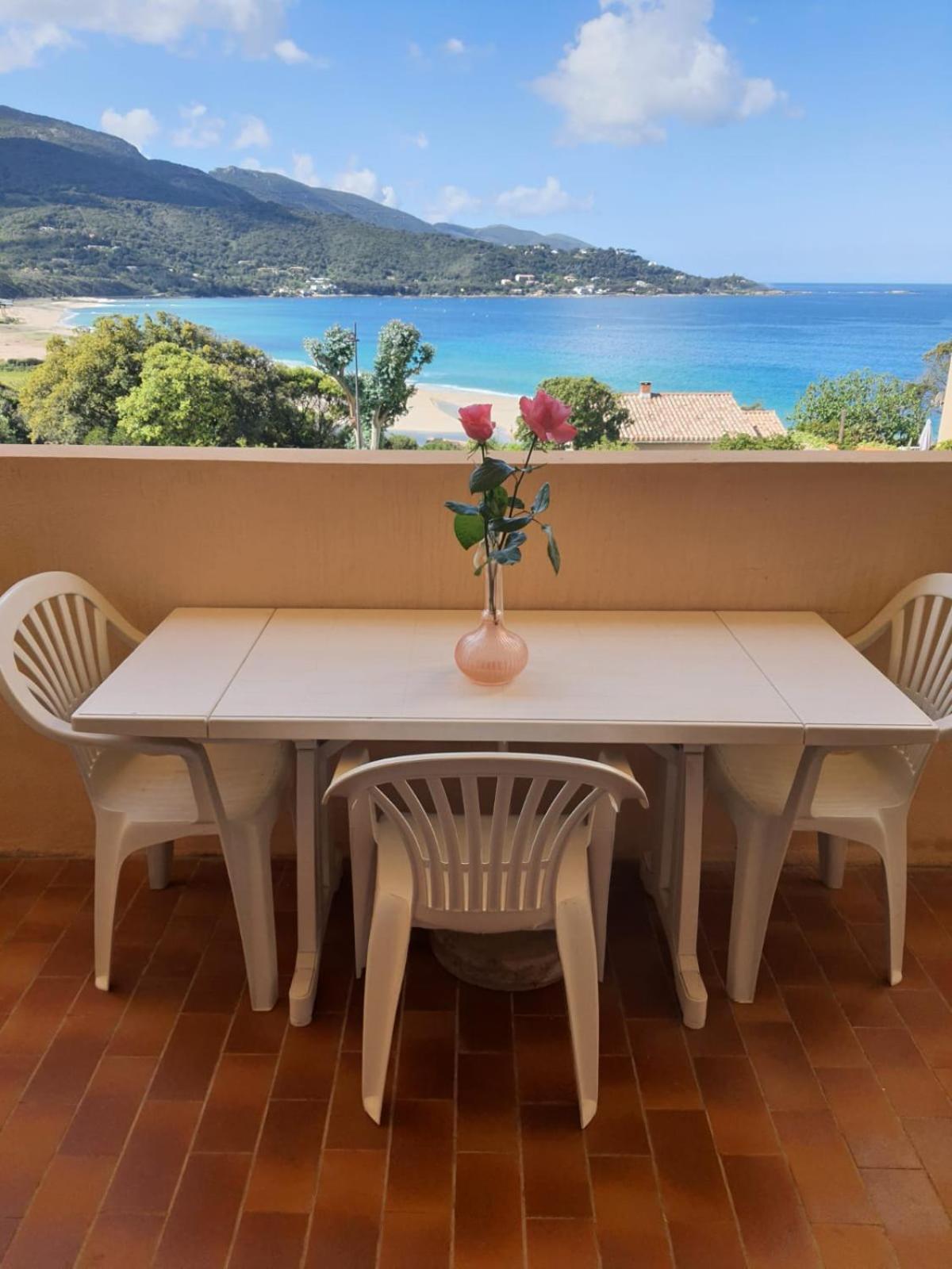 Apartment Liscia sea view Calcatoggio  Esterno foto